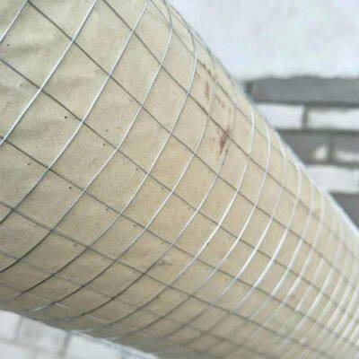 PVC Coated Welded Wire Mesh Rolls - Low Carbon Steel With Galvanized+PVC Coating photo-5