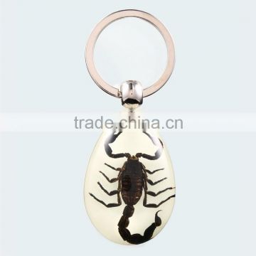 2016 new keychain with real insect Black scorpion