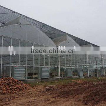 200Micro Agricultural Greenhouses for Tomato photo-3