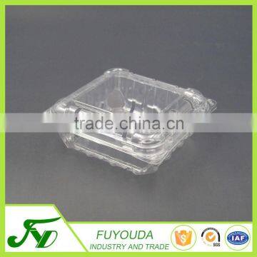 High Quality Plastic Fruit Packing Container