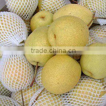 CE Approved PE Foam Fruit Net Making Machine photo-3