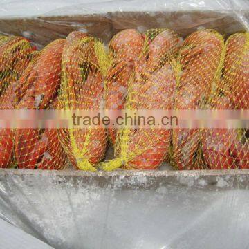 Frozen Cooked/raw Canadian Lobster (homarus Americanus) photo-4
