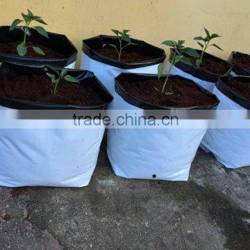 Greenhouse grow bags for vegetable planting