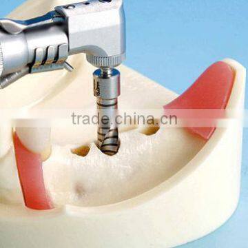 Typodont Orthodontic Model for Practicing Teeth Model Factory photo-3