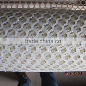 chicken plastic wire mesh/plastic net