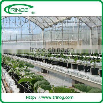 NFT hydroponic greenhouse systems