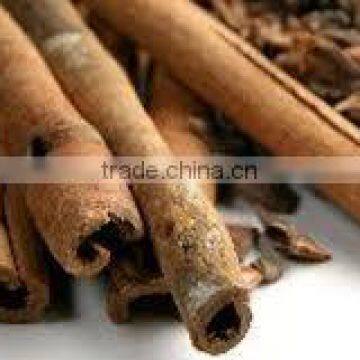 Pure, Cinnamon Oil photo-5