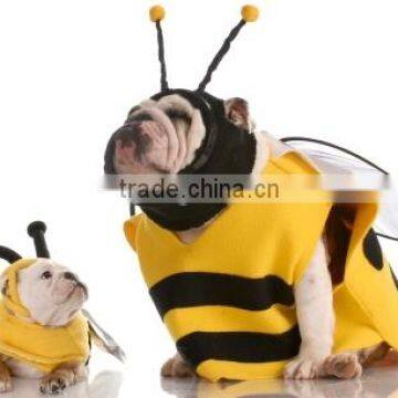 Small Water-proof Dog Clothes Spring Summer photo-3