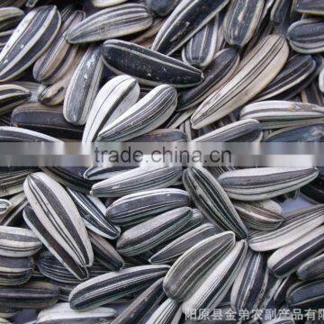 Chinese sunflower seeds sandaomei for sale