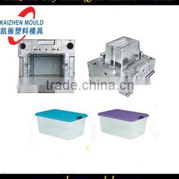 Plastic Storage Box Moulding
