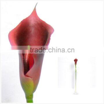 Real Touch Calla Lily