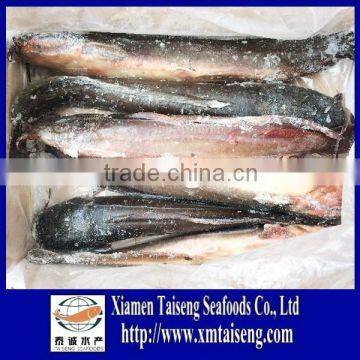 Farm raised Live vietnam catfish