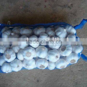 Chine Fresh Garlic