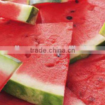 FRESH WATERMELON 2014