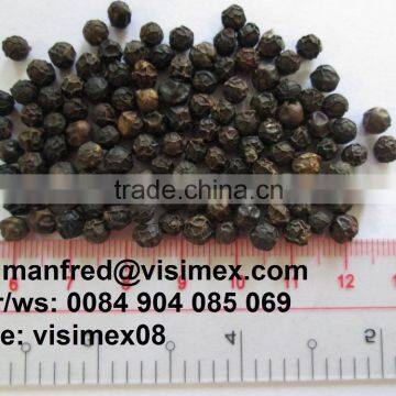 STEAM WASHED BLACK PEPPER 550G/L (skype: Visimex08)
