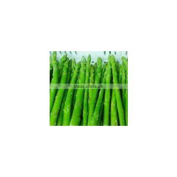 FROZEN ASPARAGUS