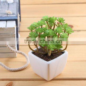 succulent plants tropical plants Artificial Succulent plants with pot, potted plastic plant