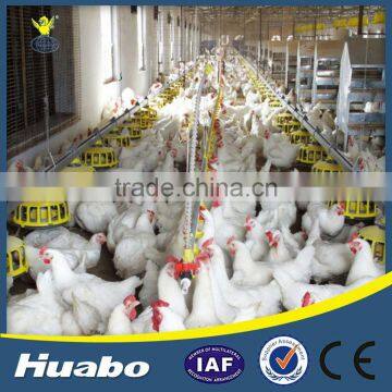 Golden Supplier poultry automatic feeders pan feeding system