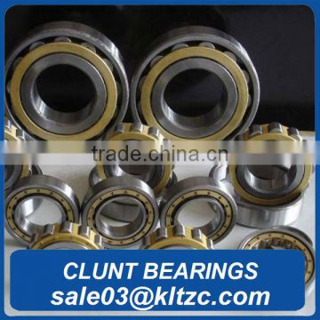 KSK Japanese stainless steel cylindrical roller bearing SL045060-PP