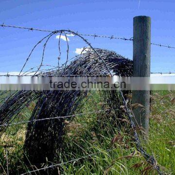 Galvanized iron barbed wire for Kenya with good price per roll 100 meters