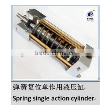 Professional Spring Return Hydraulic Cylinder