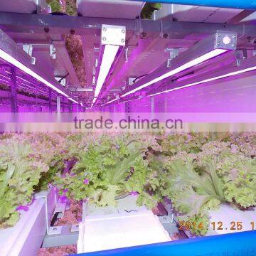 Greenhouse of Single Container Plant Factory photo-2