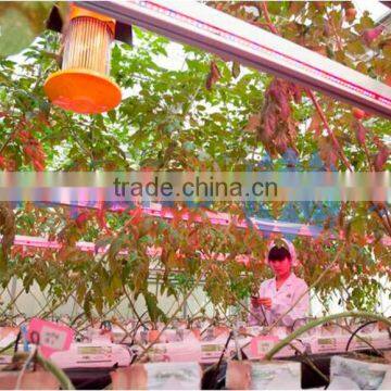 Artificial Growing Lighting photo-2