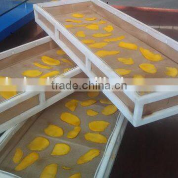 Microwave Vacuum Dryer for Mango/mango Slice photo-2