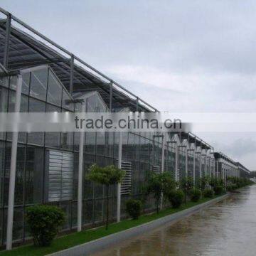 Galvanized Steel Frame Multi Span Agricultural Greenhouse for Sale photo-2