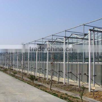China Supplier Cheap Price Glass Tunnel Greenhouse photo-4