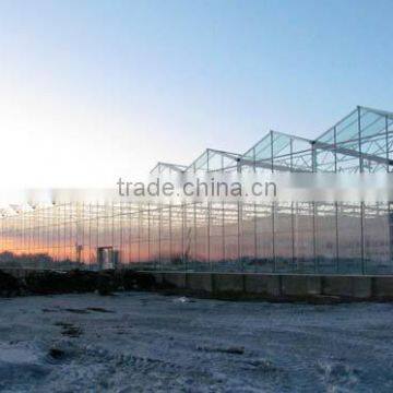Glass Greenhouse-5