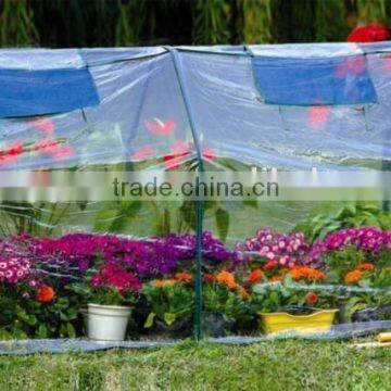 Growhouse and Multi Cloche Range for Flower and Plant photo-3