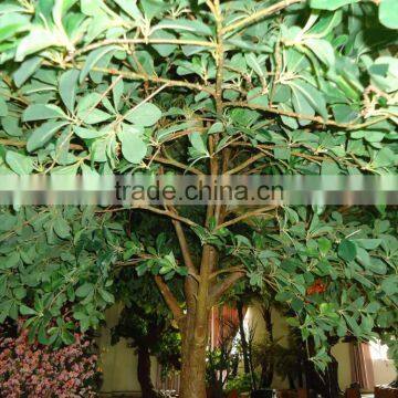BTR022 GNW Decorative Plants Artificial Banyan Tree for Decoration photo-2