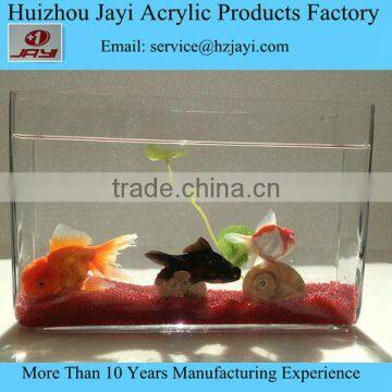 Hot Selling Aquarium Tank Fish photo-4