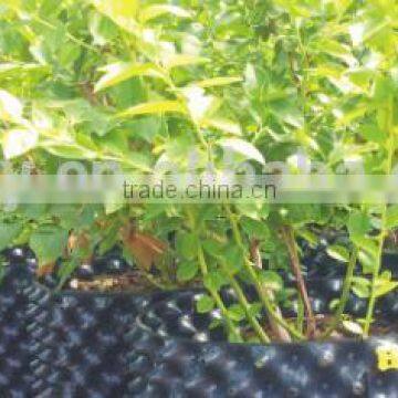 Plastic Root Control Container/pot for Garden Tools photo-6