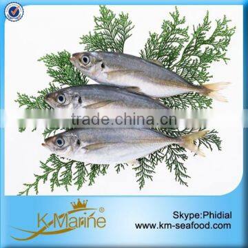 100g Up Wholesale Whole Round Horse Mackerel