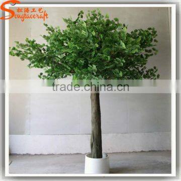 Competitive Price Artificial Ficus Tree Fake Artificial Trees for Sale Garden Ornamental Plants and Trees photo-3