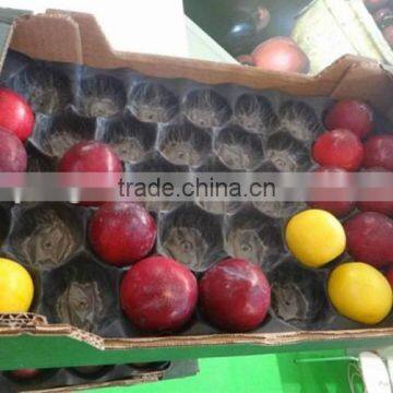 Australia Market Popular Wholesale Stone Fruit Packaging Food Grade Plastic Tray Liner photo-5