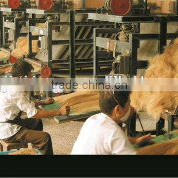 White Bristles Boiled photo-4