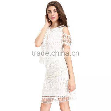 Domin Fashion Latest 2 Piece Style Fancy Lace Dress