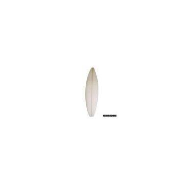 Surfboard Blank