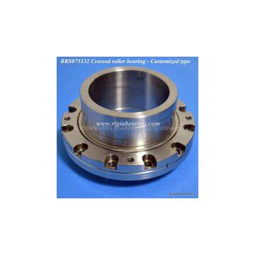 BRS075132 non-standard slewing ring bearing