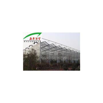 Glass Greenhouse
