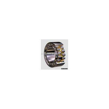 Cylindrical Roller Bearing