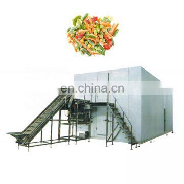 Iqf frozen fruit machinery vegetable quick freezing equipment individual quick freezer