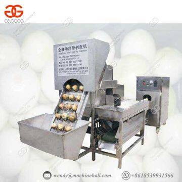Professional Tomato Processing Equipment Onion Processing Machine photo-2