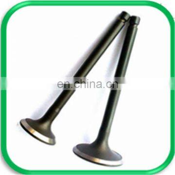 Cross-country Spare Parts Engine Valve for Izuzu Bighorn Ubs69 4XJ1 4JG2 4ZE1