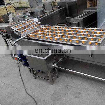Industrial Automatic 100kg 500kg Vegetable Fruit Washing Machine photo-6
