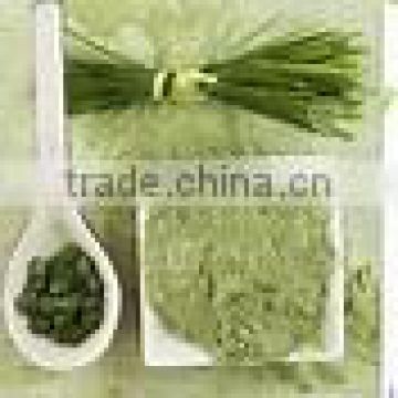 Organic Wheat Grass Powder for export