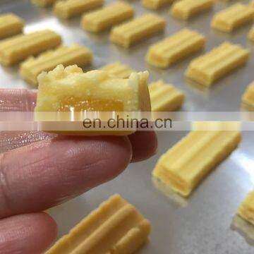Commercial Type Fig Bar/ Date Bar/ Fruit Bar Making Machine Automatic Encrusting Machine Manufacturer photo-3
